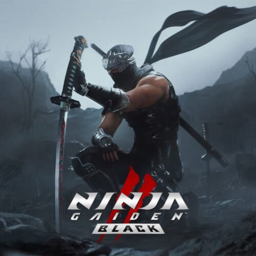 ninja-gaiden-2-black box art